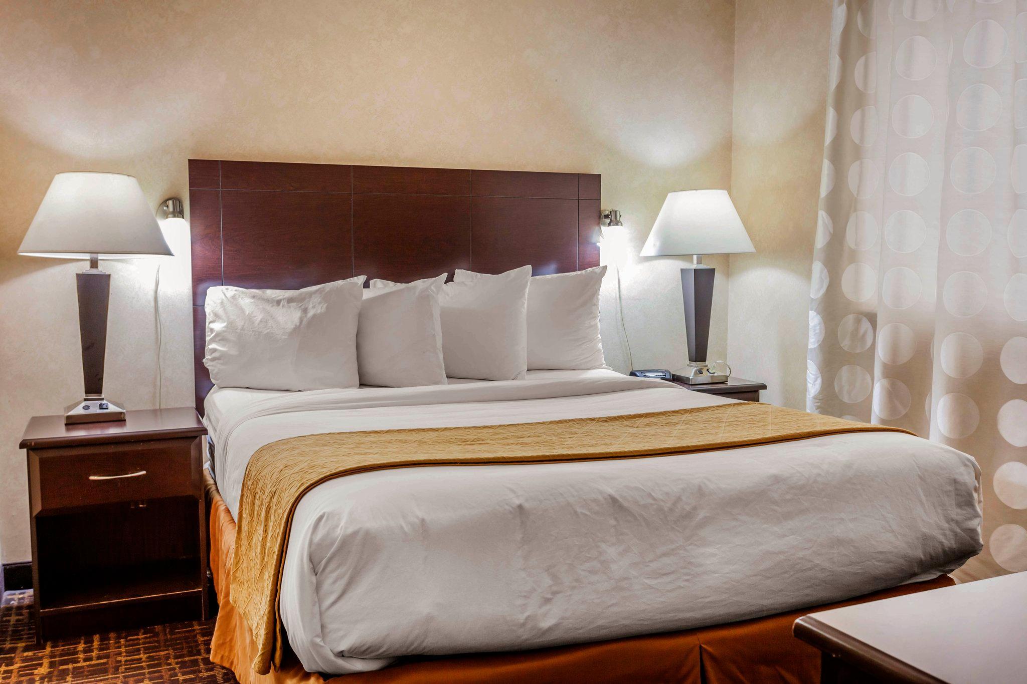 Quality Inn Arlington Luaran gambar